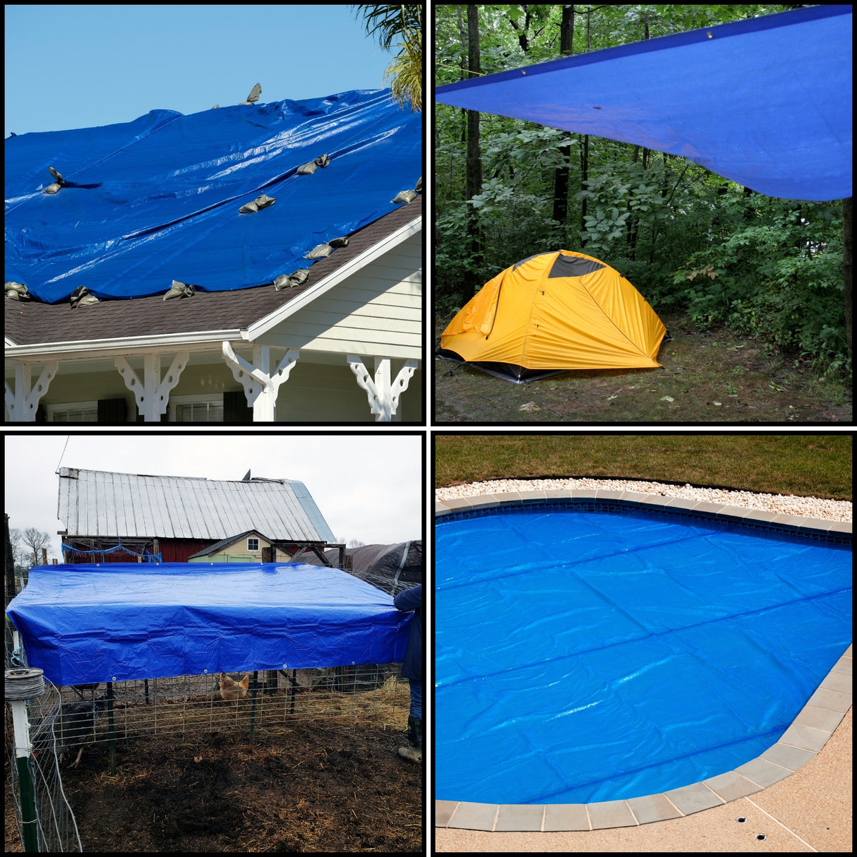 All Purpose Blue Poly Tarp