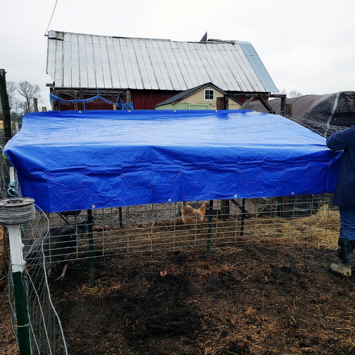 All Purpose Blue Poly Tarp