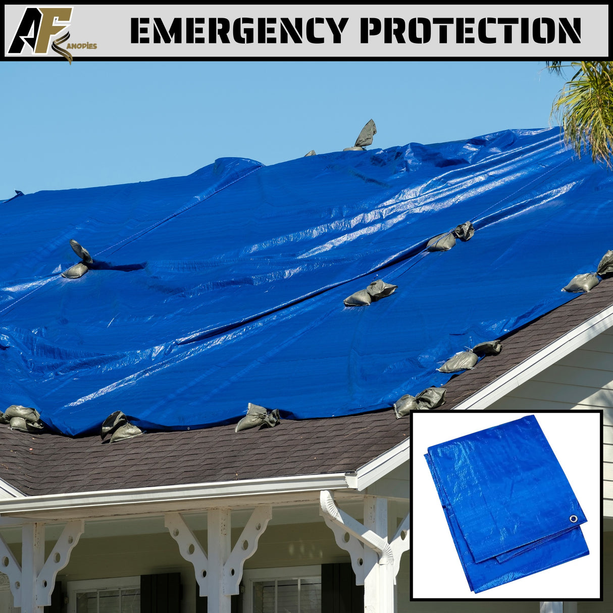 All Purpose Blue Poly Tarp
