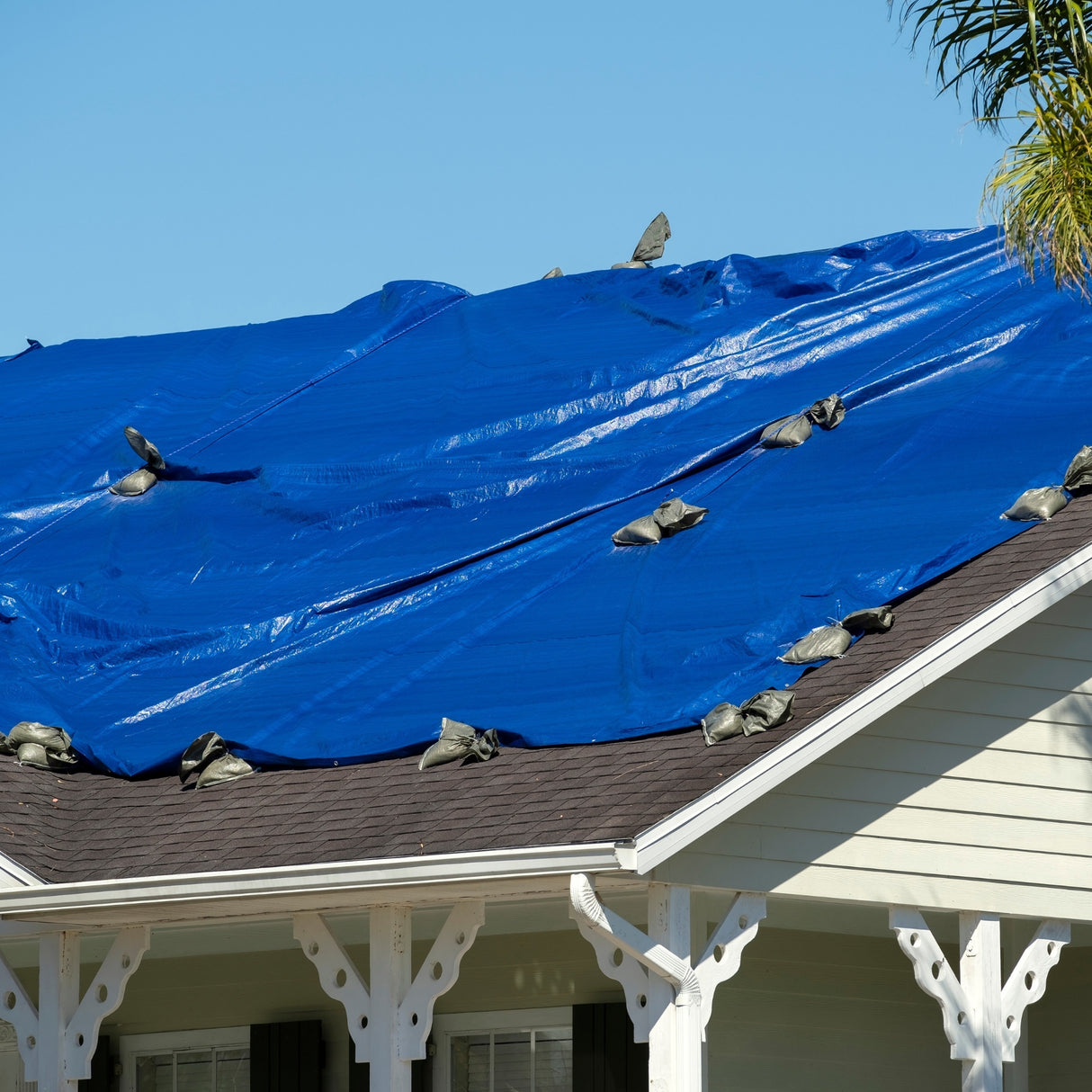 All Purpose Blue Poly Tarp